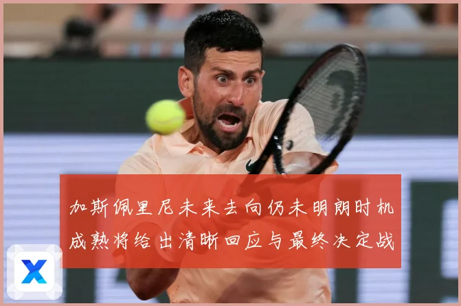 加斯佩里尼未来去向仍未明朗时机成熟将给出清晰回应与最终决定战术观察