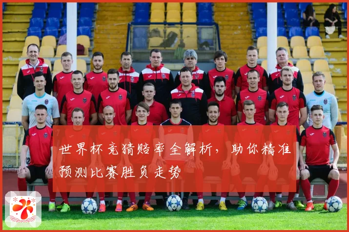 世界杯竞猜赔率全解析，助你精准预测比赛胜负走势