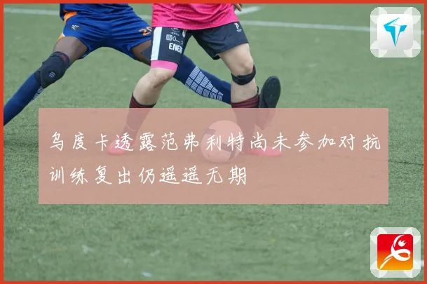 乌度卡透露范弗利特尚未参加对抗训练复出仍遥遥无期